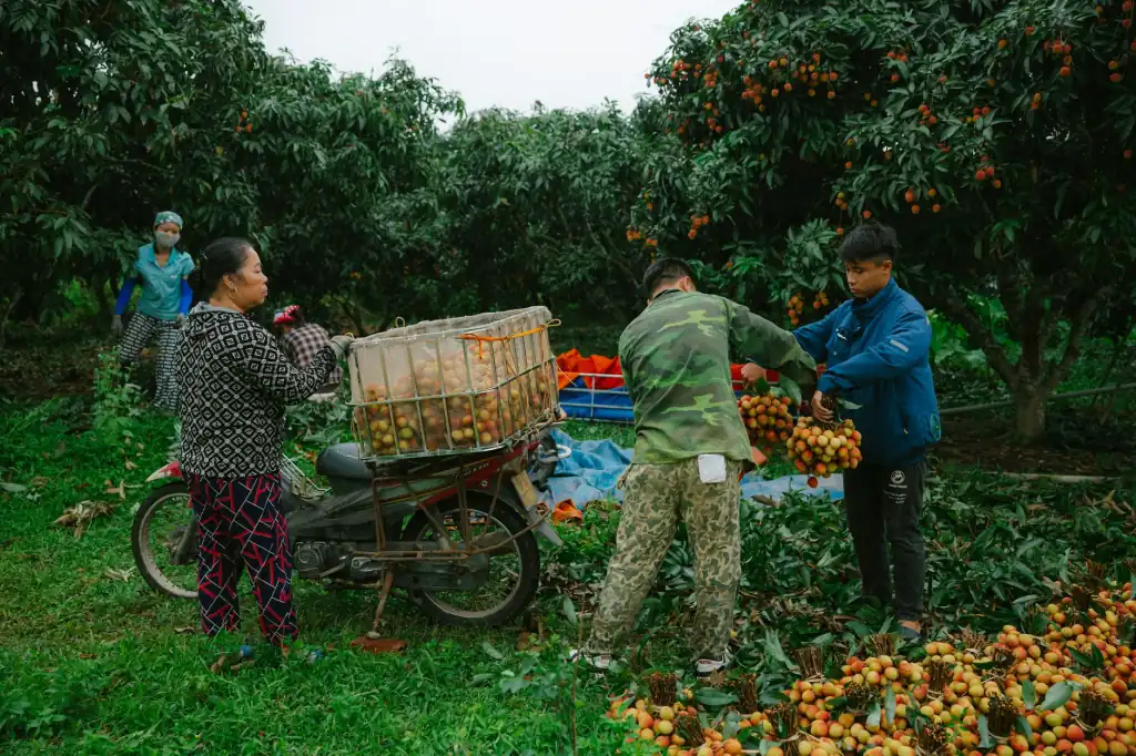 上海胜邦房产经纪：二手房交易全流程服务要点解析