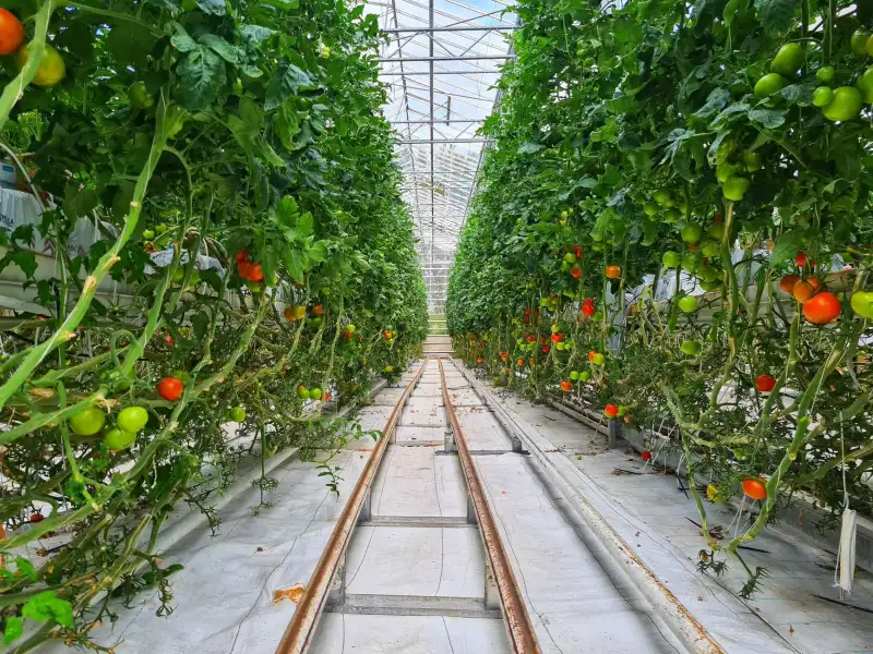 2025年上海二手房交易流程优化与风险防范要点