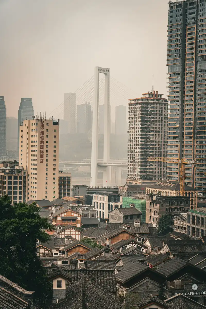 2024年上海二手房买卖市场趋势及胜邦经纪服务适配分析