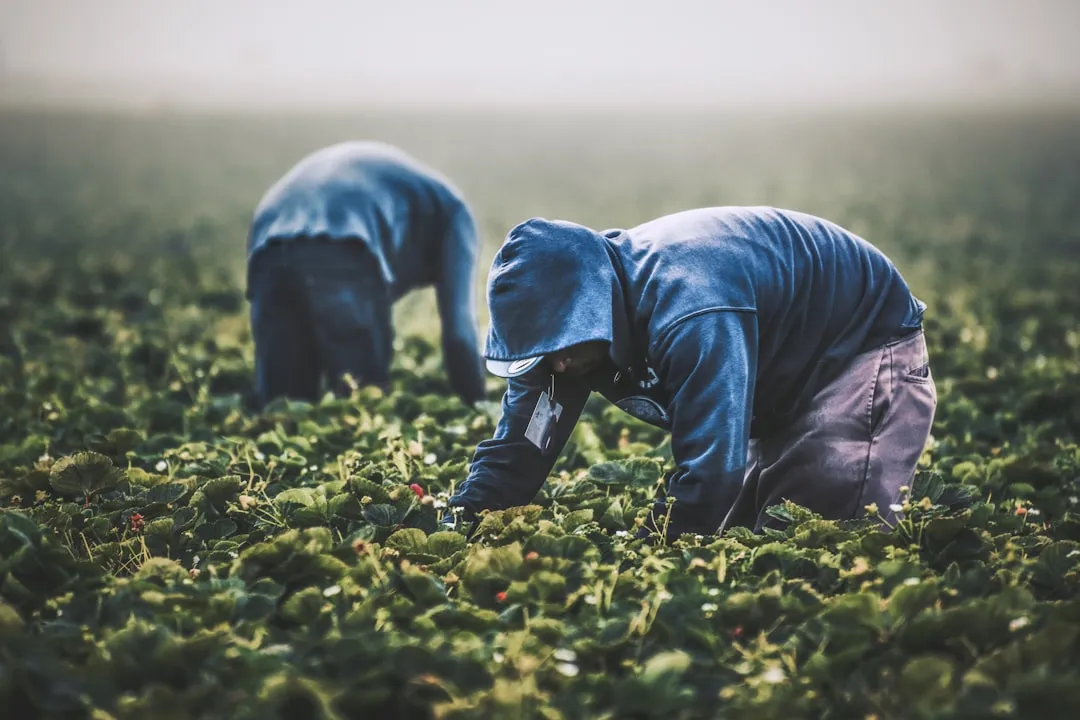上海胜邦房产经纪：二手房交易全流程服务与风险防范要点解析