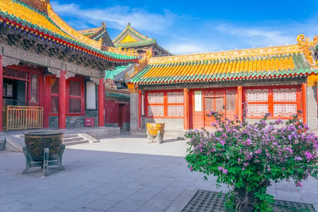 2024年上海二手房交易与租赁服务市场趋势及胜邦优势分析
